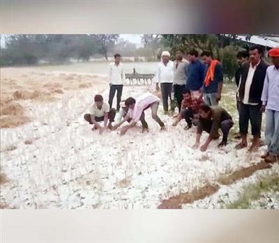 Rain, hail lash Uttar Pradesh districts, CM Yogi takes stock