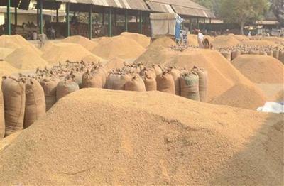 Paddy procurement season begins