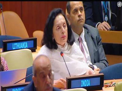 India calls for inclusive framework, decisive action on UN Security Council reform