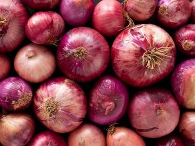 India lifts ban on onion exports after robust production