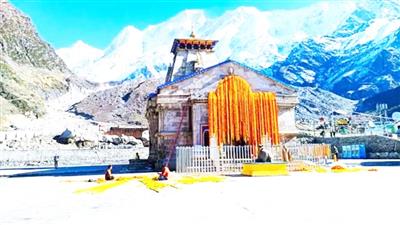 24-hour ban enforced on horses, mules being used in Kedarnath Yatra