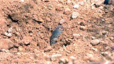 Rajasthan: Police successfully diffuses suspicious object recovered in Jaisalmer