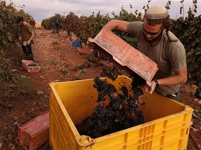 Israel launches USD 1.4B national food security strategy for 2050 amid growing threats