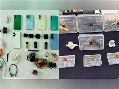 Punjab: Police bust drug racket in Sangrur Jail, senior officer held; heroin, arms, cash seized