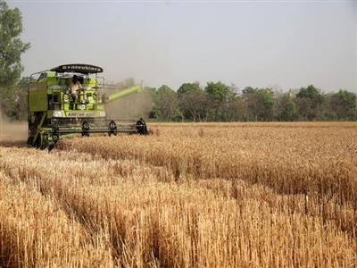 Haryana government approves Rs 1,267.49 crore annual agriculture plan
