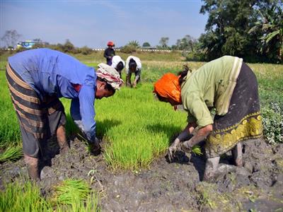 Centre raises MSP for kharif crops