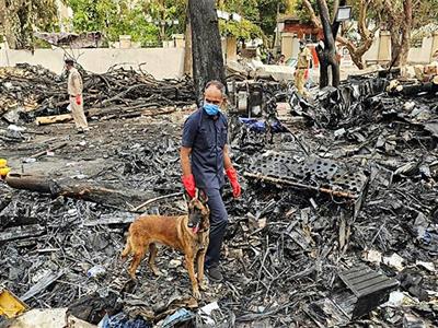 AI 171 crash: 202 bodies handed over and 220 victims identified, says Gujarat Minister Rushikesh Patel