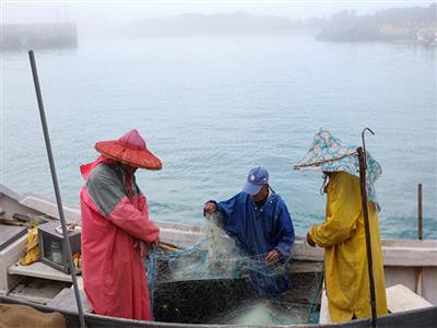 Amid national security concerns, Taiwan to remove illegal Chinese oyster racks from its territorial waters