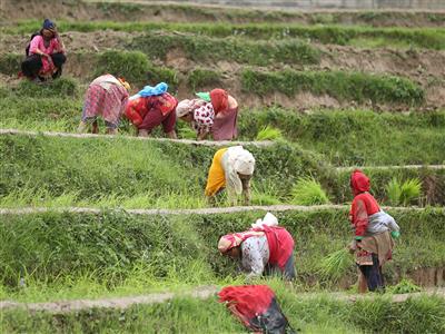 Splashing mud and singing, Nepal marks 