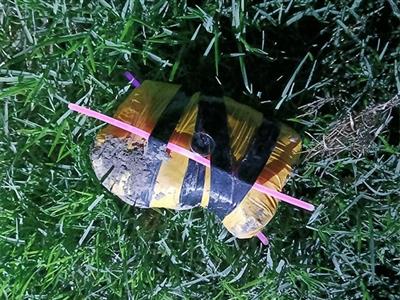 BSF recovers 574 grams of suspected heroin near Punjab border in Tarn Taran