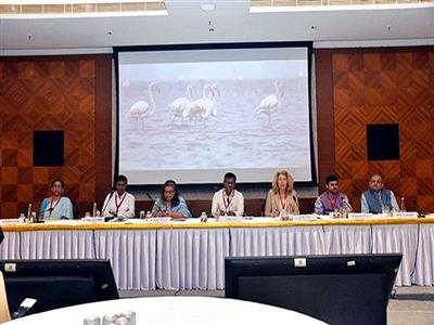 Collaborative effort on to initiate robust urban river management plan in Delhi: NMCG