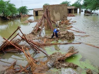 Death toll rises to 216 as monsoon wreaks havoc in Pakistan