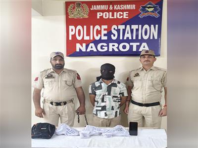 J-K: Terror associate held at Nagrota, three pistols and ammunition recovered