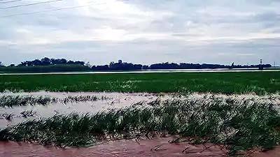 State Govt stands Firm with Farmers Amid Heavy Rains, Bedi