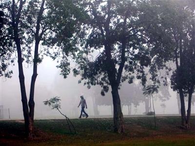 Lahore tops world's pollution chart as AQI hits hazardous 412, authorities launch crackdown