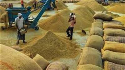 Paddy procurement season 2025 : Over 10 lakh farmers benefitted from MSP so far