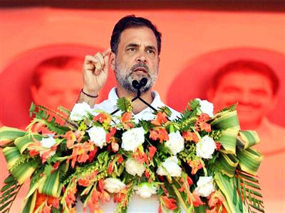 Nehru's writings are not just history, they are record of India's evolving conscience: Rahul Gandhi