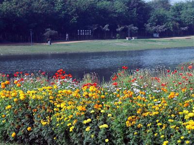 Delhi's Yamuna Riverfront becomes Venue as Asita Park now open for Public Bookings