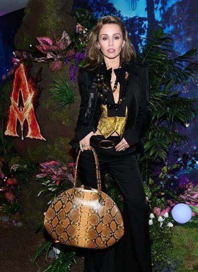 Miley Cyrus pitches music to filmmakers, lands song in 'Avatar: Fire and Ash'