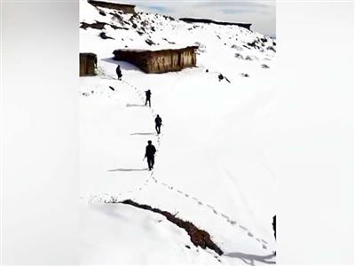 Jammu and Kashmir Police and Indian Army launch search operations in Bhalesa ahead of New Year