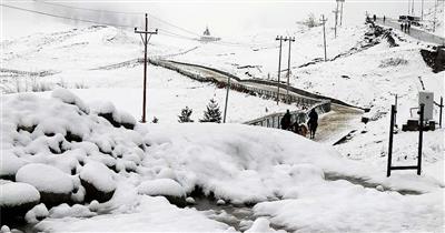 Cold wave, dense fog grip large parts of India; snowfall continues in Poonch