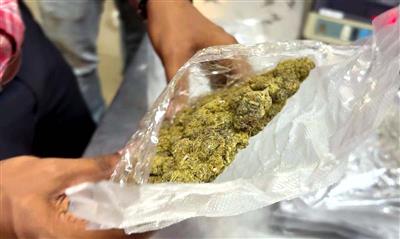 14 arrested for supplying 