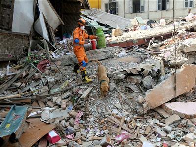 Earthquake of 4.6 magnitude strikes Nicobar Islands