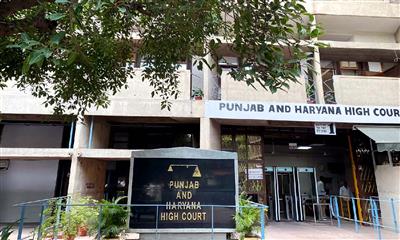 Punjab & Haryana High Court on Illegal Dog Fighting: “Any Citizen Can File FIR, Police Must Act”