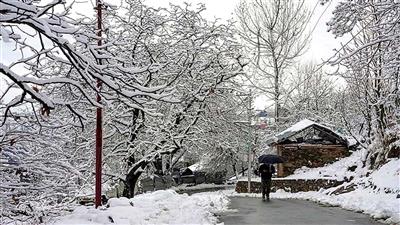 Fresh snowfall in Himachal brings sharp dip in temperature