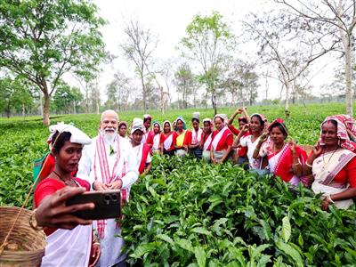 Assam, Bengal tea producers urge PM Modi to withdraw notification mandating 50% sale through auctions