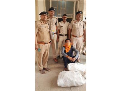 Joint Haryana-Rajasthan police operation busts trafficking network, truck driver arrested