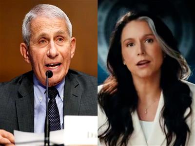 Tulsi Gabbard, on final day as US DNI, alleges Biden's Top Medical Adviser Fauci funded Wuhan research that sparked COVID-19