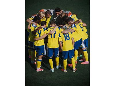 FIFA World Cup 2026: Swedish FA thanks fans after 3-0 defeat to France ends campaign