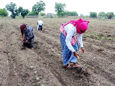 PMO reviews El Nino impact, urges ministries to work with states on preparedness measures