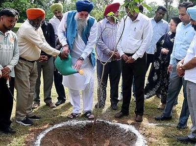 Speaker Kultar Sandhwan plants 40+ fruit trees in Vidhan Sabha Complex, calls for ‘Green Punjab’