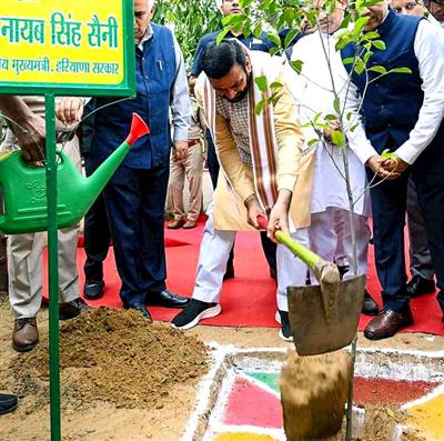 CM Nayab Singh Saini plants a sapling at MDU, Rohtak