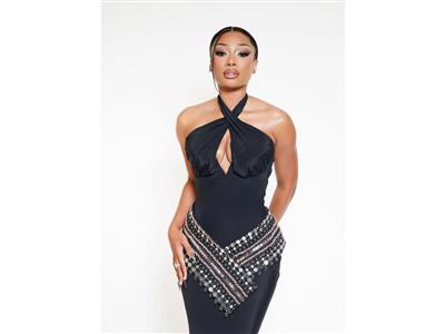 Megan Thee Stallion says internet made fame 