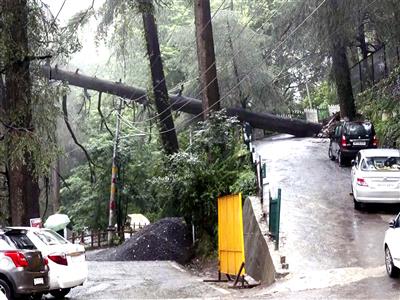 Himachal: Monsoon death toll hits 250 in 61 days; 64 roads blocked, 225 power transformer regions disrupted