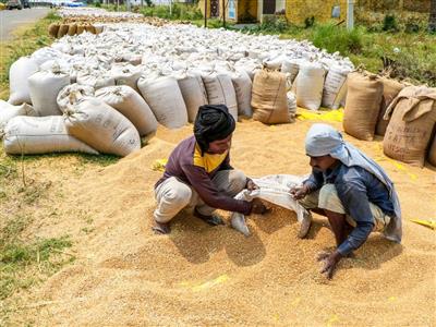 Foodgrain production estimated at 376.5 million tonnes amid robust decentralised grain storage infra