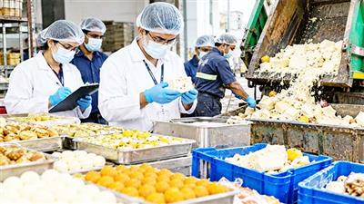 Delhi Intensifies Festive-Season Food Safety Drive; 922 Kg of Sweets, Khoya and Other Items Destroyed