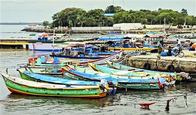 Odisha, Andhra shut schools, ban fishing as Cyclone Arnab nears; Centre stresses zero casualty